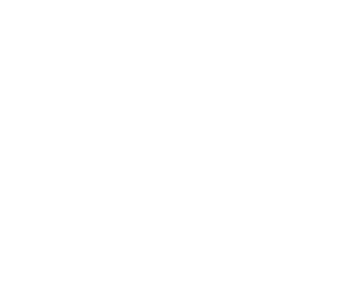 Nadlan LLC